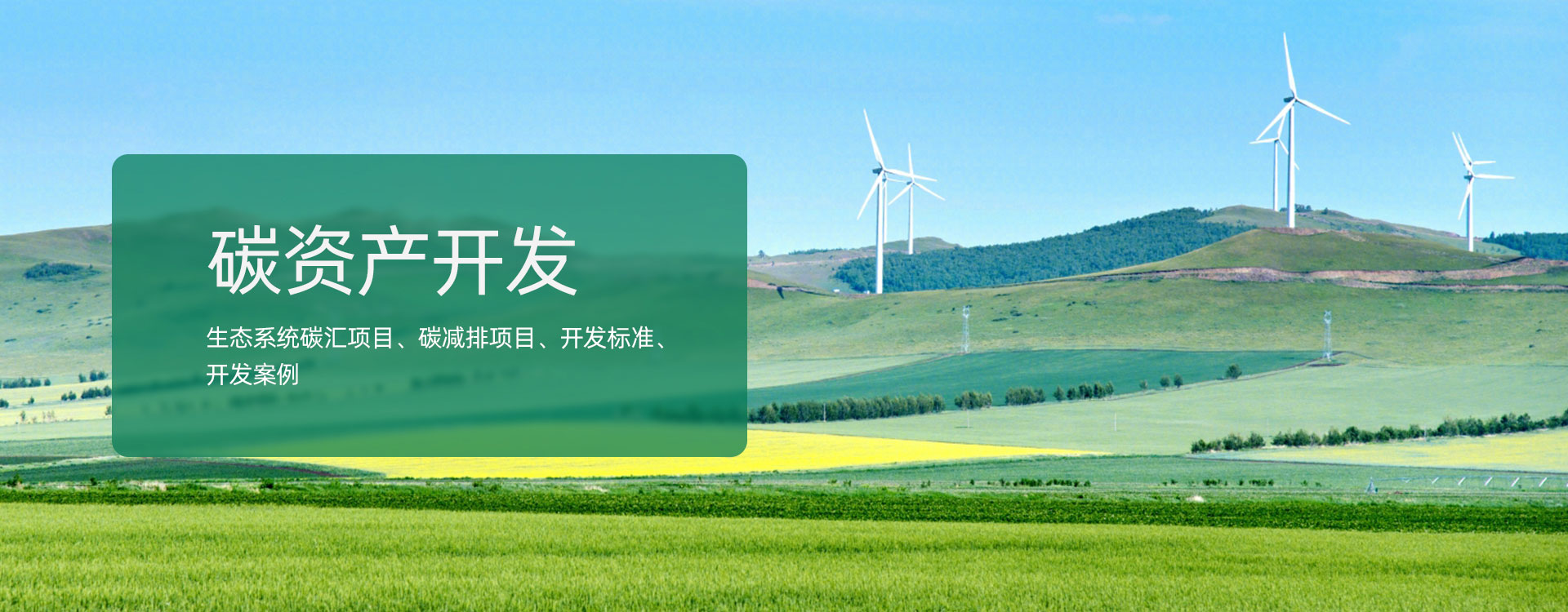 碳資產(chǎn)開發(fā)