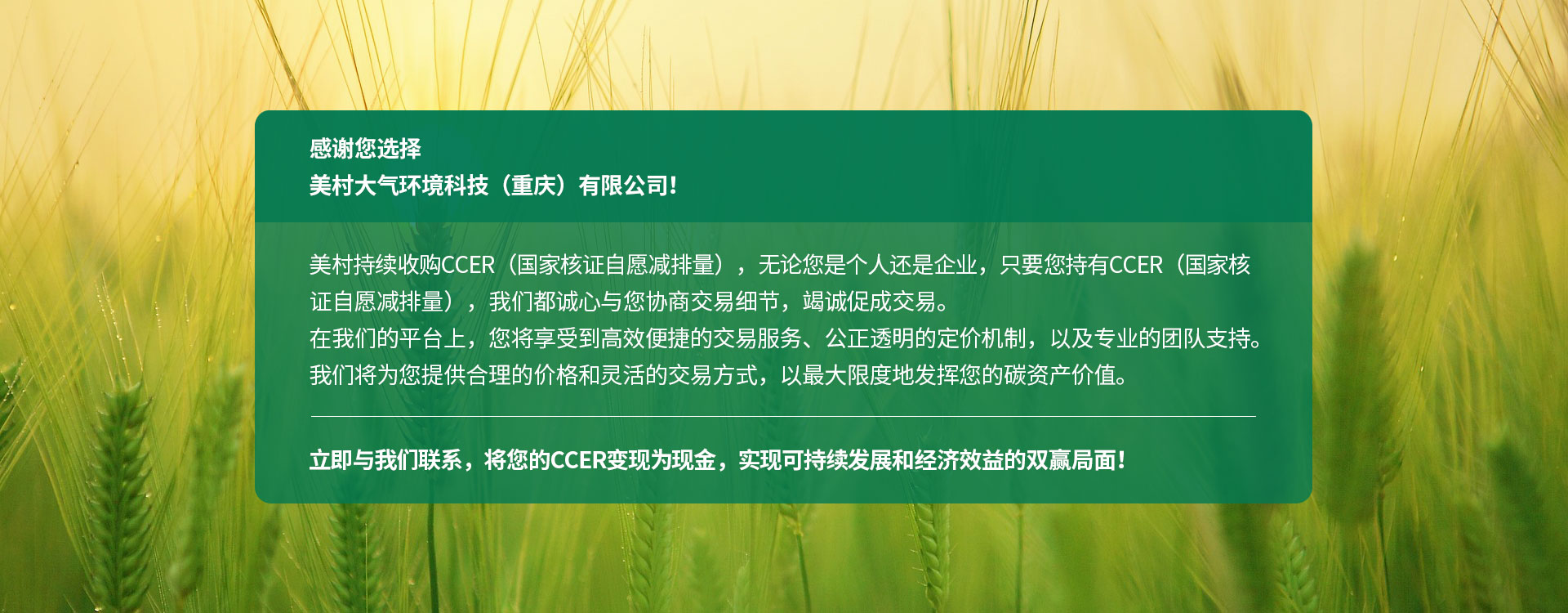 美村環境