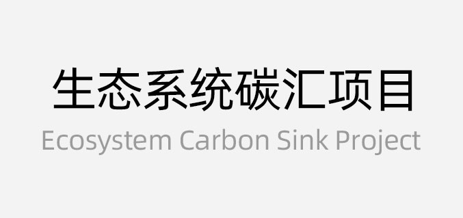 生態(tài)系統(tǒng)碳匯項目